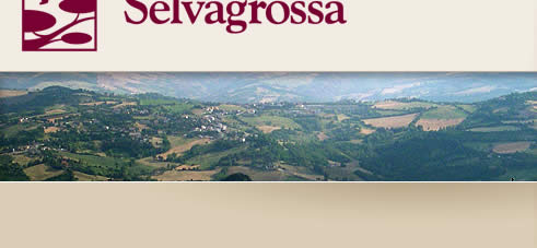 info@selvagrossa.it